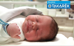 Németh András, Mosonmagyaróvár