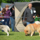 CAC kutyakiállítás (Fotó: Nagy Mária)