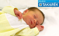 Rajtmár Tétény, Dunasziget