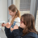 Anya lánya nap a Futurában (Fotó: Nagy Mária)