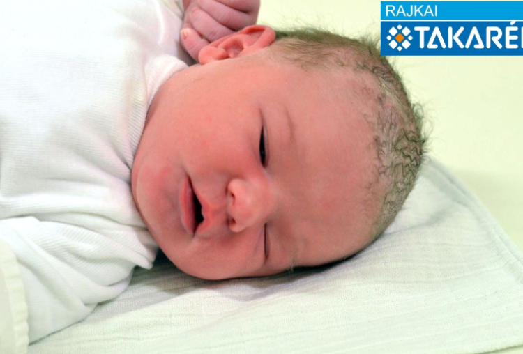 Majlinger Bianka, Bősárkány