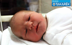 Brkál Bendegúz, Püski