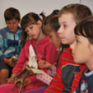 Erdei iskola Arakon (Fotó: Nagy Mária)