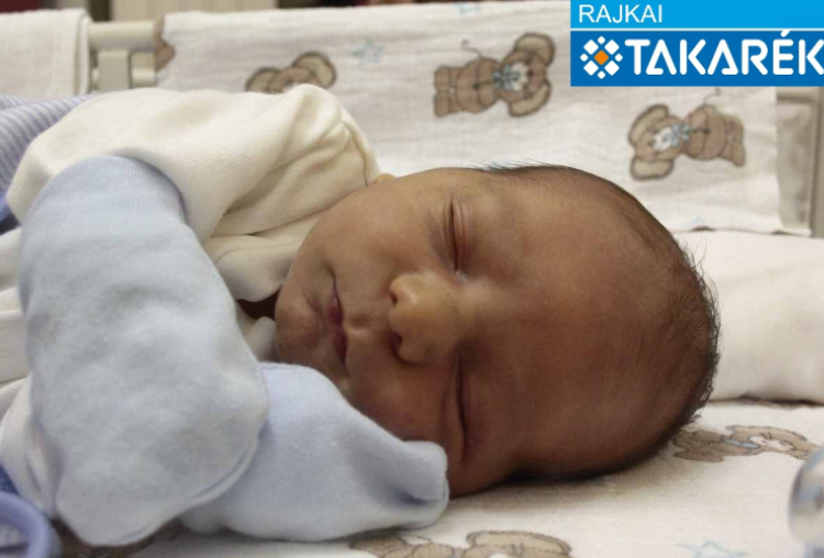 Bognár Milán Zoltán, Csorna