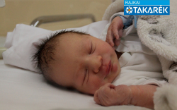 Magyarics Nimród, Lipót