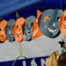 X. Jánossomorjai Tökfesztivál (Fotó: Horváth Attila)