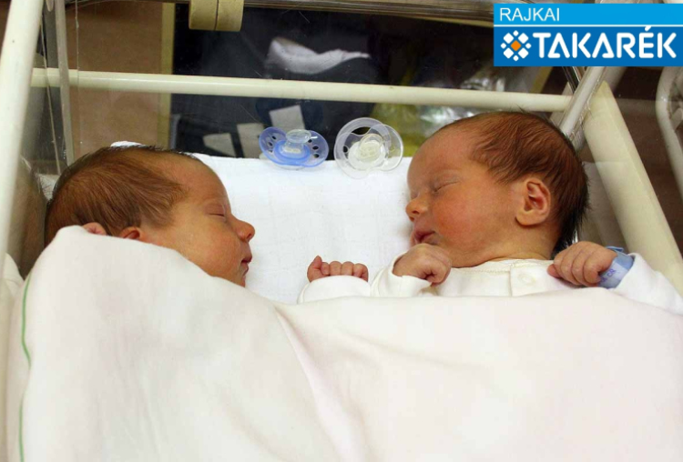 Bálintfi Csongor, Bálintfi Lehel, Hegyeshalom