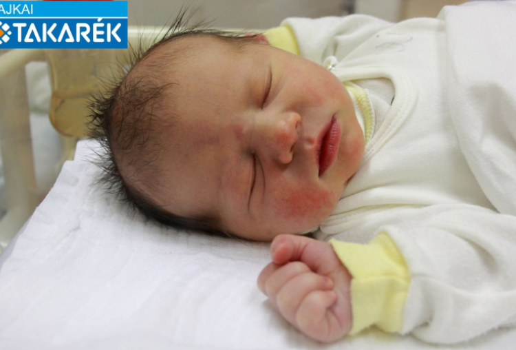 Radits Balázs, Mosonmagyaróvár