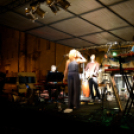 Greiner-Malom Piknik Jazz és Gourmet fesztivál (Fotó: Bánhegyi István)