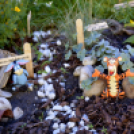 Apró kezek-Csodakertek: A közönségszavazás eredménye