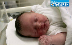 Tóth Jázmin Liliána, Mosonmagyaróvár