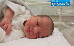 Dobos Csenge Anna, Mosonmagyaróvár