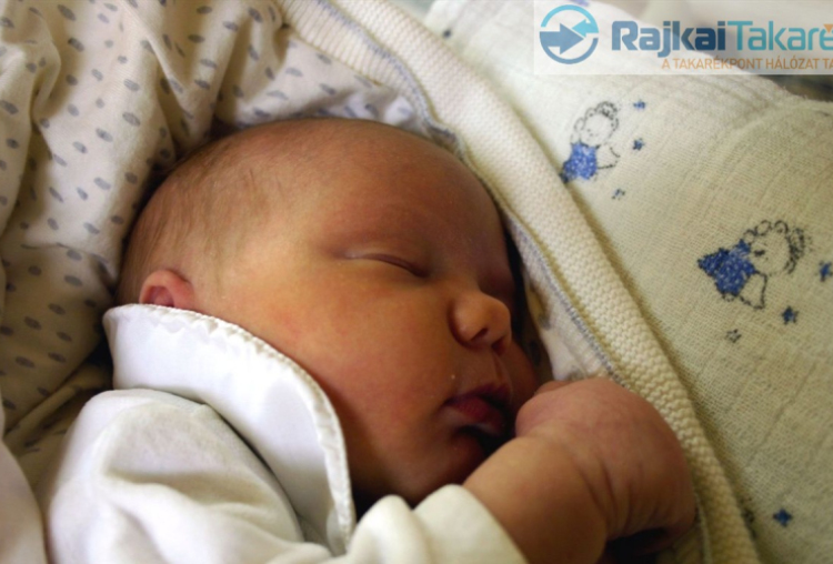 Baucsek Lora, Mosonmagyaróvár