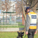 Ünnepváró családi délelőtt (Fotó: Nagy Mária)