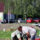 Virágosítsuk a parkot közösen! (Fotó: Stipkovits Veronika)