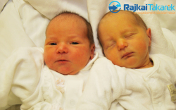 Andrássy Luca és Andrássy Zsolt, 2800 és 