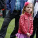 VÁROSI MAJÁLIS 2015 (Fotó: Horváth Attila)