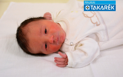 Bejczi Alexander, Mosonmagyaróvár