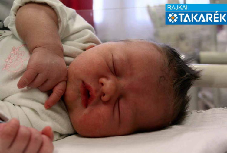 Kovács-Szűts Zsombor, Halászi