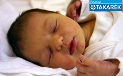 Németh Mia, Hédervár