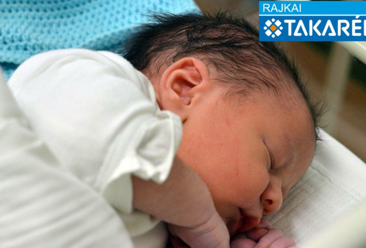 Mike Dávid, Halászi 