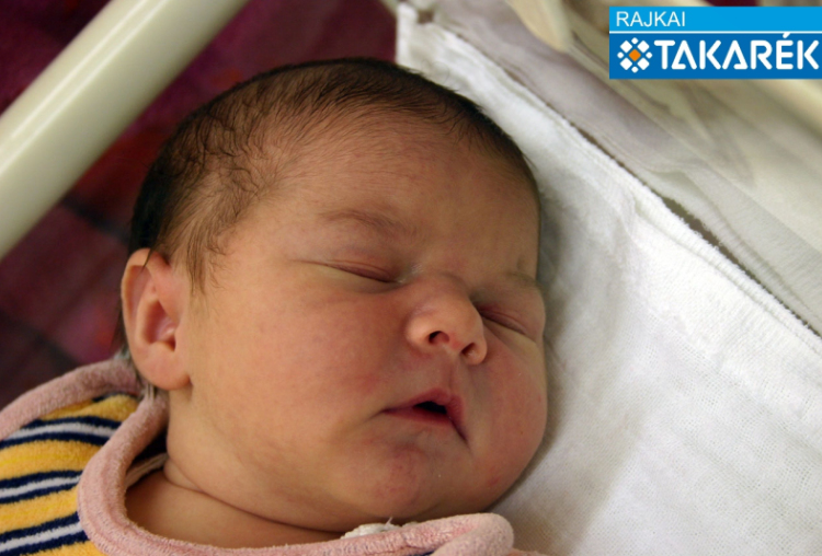 Foltin Léna, Máriakálnok