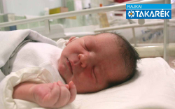 Méhes Mia, Mosonmagyaróvár