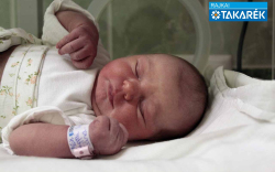 Lippai Kata Sára, Máriakálnok