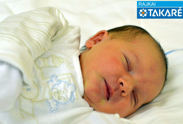 Halász  Karola, Mosonmagyaróvár