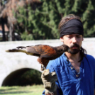  Szigetköz ízei, Vármegye borai Fesztivál 2. nap (Fotó: Stipkovits Veronika, Bánhegyi István)