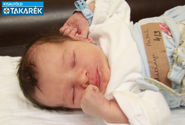 Radványi Antal, Mosonmagyaróvár