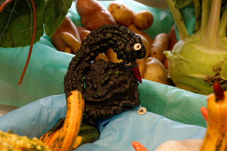 X. Jánossomorjai Tökfesztivál (Fotó: Horváth Attila)