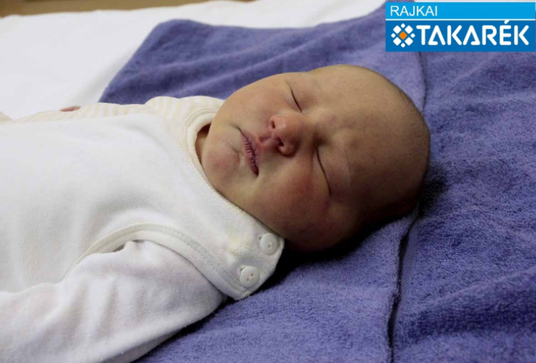 Kiss Bodza Gerda, Levél