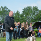 CAC kutyakiállítás (Fotó: Nagy Mária)