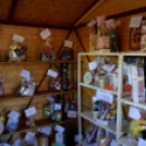 Erzsébet napi Vigalom