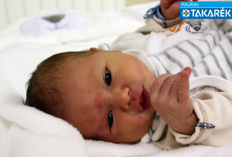 Rigó Mátyás, Mosonmagyaróvár