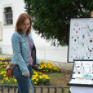 KULT - UTCA Kéz-műves kéz-művek délutánja (Fotó: Nagy Mária)