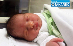 Tóth Péter Jenő, Kimle