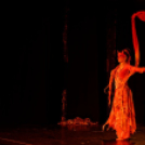 Japán Kert (Fotó: Horváth Attila)