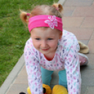 Az Ebuló Kutyaiskola interaktív kutyás bemutatója a Pillangó óvodában (Fotó: Stipkovits Veronika)