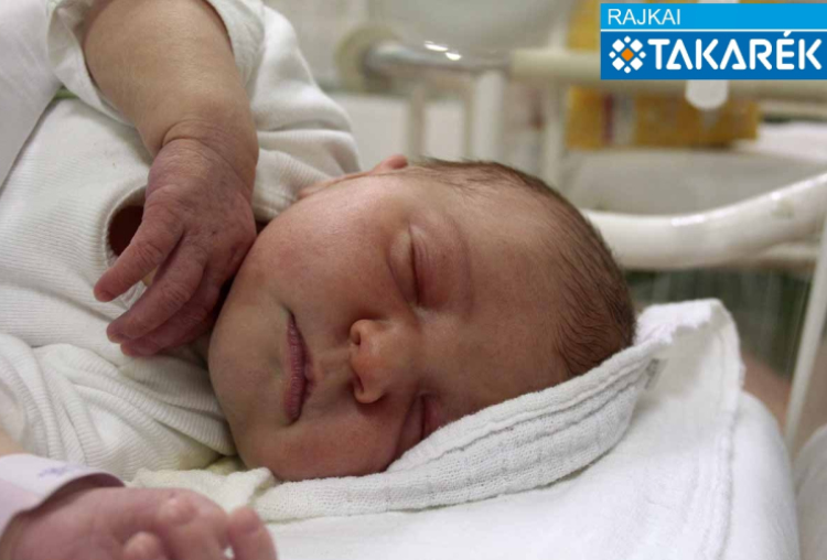 Böcskör Luca, Kapuvár