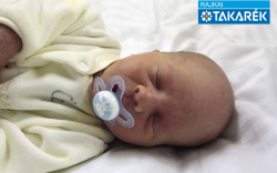 Nagy Márk, Szilsárkány