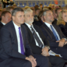 Dan Hrvata, Horvát Nap