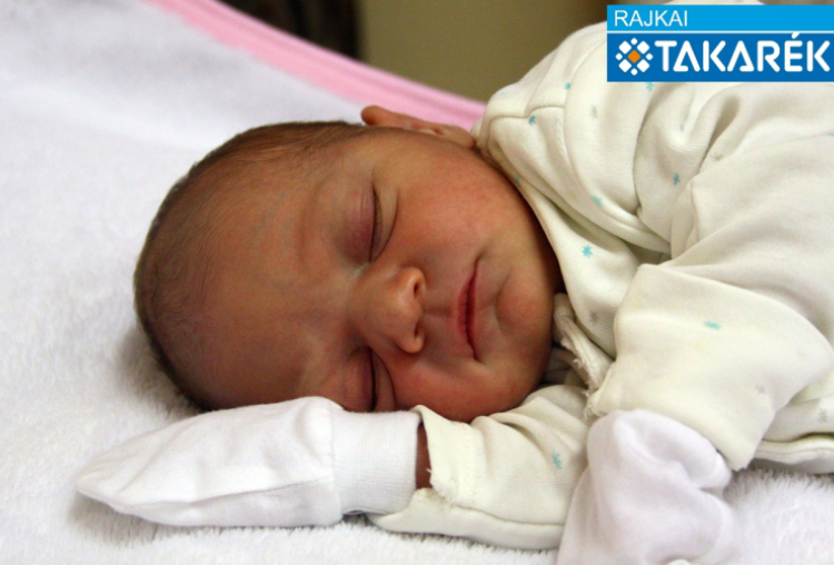 Már Abigél Csinszka, Levél