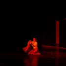 Japán Kert (Fotó: Horváth Attila)