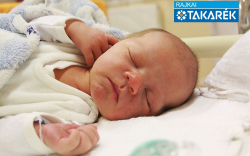 Kovács Patrik, Dunaszeg