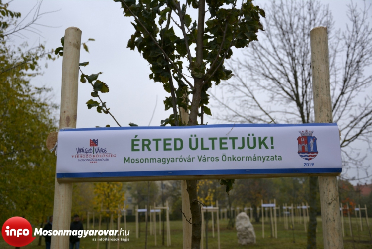 A teremtett világra vigyázni kell! - elindult a fásítási program Mosonmagyaróváron
