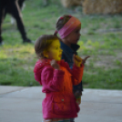 Szigetköz ízei, vármegye borai fesztivál - péntek (Fotó: Nagy Mária)