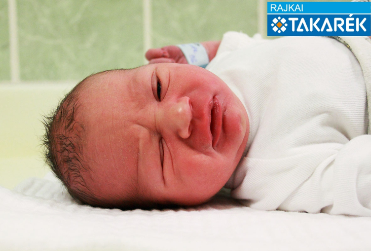 Telek Olivér, Kimle