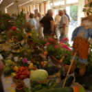 Termény- és virágkiállítás 